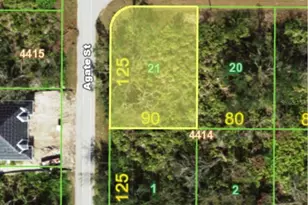 13147 Kakapo Ave, Port Charlotte, FL 33981 - Photo 1