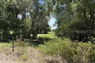 10573 SE Foster Ave, Arcadia, FL 34266 - Photo 1