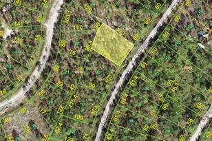 12225 Ripple Dr, Punta Gorda, FL 33955 - Photo 1