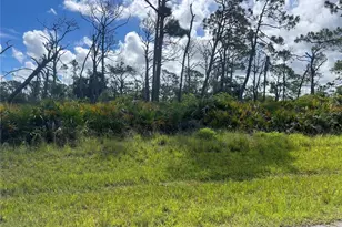 142 Flower Rd, Rotonda West, FL 33947 - Photo 1