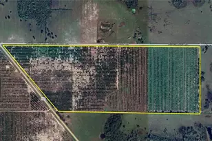 0 Goose Pond Rd, Ona, FL 33865 - Photo 1