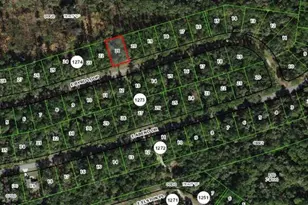 781 E Byrd Loop, Dunnellon, FL 34434 - Photo 1