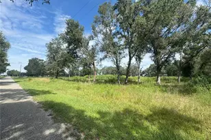 7114 NW Lily County Line Rd, Ona, FL 33865 - Photo 1