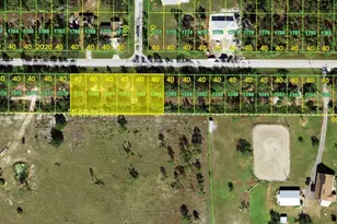 26397 & 26409 Scham Rd, Punta Gorda, FL 33955 - Photo 1