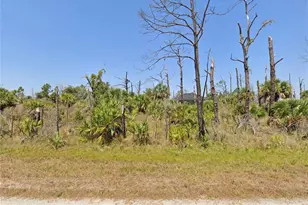 8079 Thruso Rd, Port Charlotte, FL 33981 - Photo 1