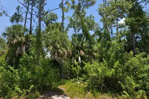 10046 Flat River St, Port Charlotte, FL 33981 - Photo 1