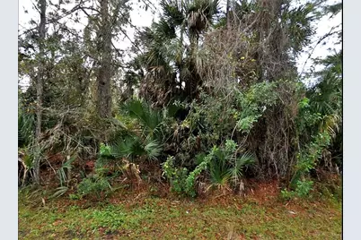 Thomas Lane, North Port, FL 34286 - Photo 1