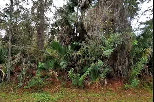 Thomas Ln, North Port, FL 34286 - Photo 1