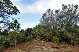 Lot 11 Marsden Ave, North Port, FL 34288 - Photo 1