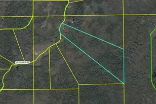 9122 SW Tower Rd, Madison, FL 32340 - Photo 1