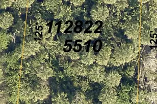 Old Wine Rd, North Port, FL 34288 - Photo 1