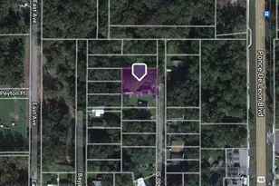 Hernando St, Brooksville, FL 34601 - Photo 1