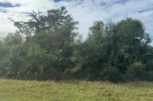 12349 Bacchus Rd, Port Charlotte, FL 33981 - Photo 1