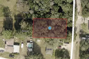 Palm St, Lady Lake, FL 32159 - Photo 1