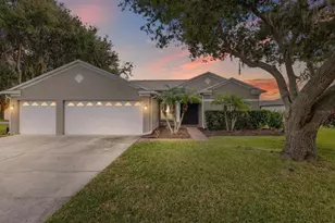 19719 Spring Willow Ct, Odessa, FL 33556 - Photo 1