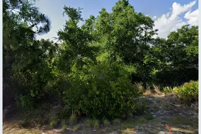 11062 Sandrift Avenue, Englewood, FL 34224 - Photo 1