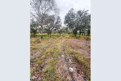 4683 SE Rye Avenue, Arcadia, FL 34266 - Photo 1