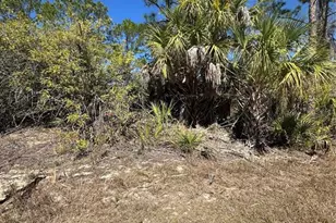 Henning St, North Port, FL 34288 - Photo 1