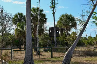 Black Burn Road, Naples, FL 34117 - Photo 1