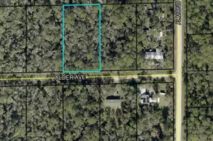 6296 Alder Ave, Bunnell, FL 32110 - Photo 1