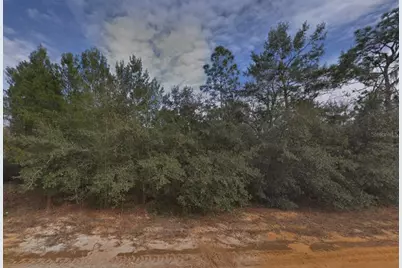 Creager Avenue, Interlachen, FL 32148 - Photo 1