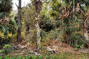 Vogler Ln, North Port, FL 34286 - Photo 1