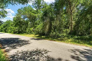 905 E Abend Dr, Dunnellon, FL 34434 - Photo 1
