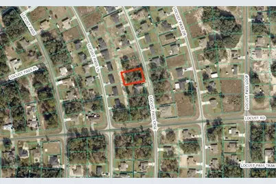 Locus Pass Course, Ocklawaha, FL 32179 - Photo 1