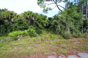 Baynes Rd, North Port, FL 34288 - Photo 1