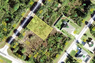 9228 Ravel St, Port Charlotte, FL 33981 - Photo 1