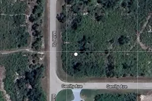 12162 Gerrity Ave, Port Charlotte, FL 33981 - Photo 1
