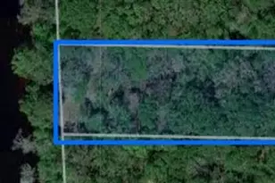 229 Th Dr, Live Oak, FL 32064 - Photo 1