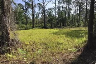 13068 and 13076 Woolard Ave, Port Charlotte, FL 33953 - Photo 1