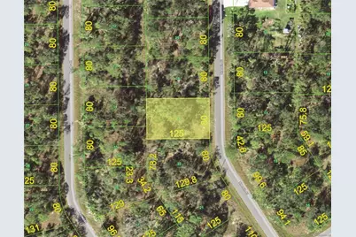 1113 Sherwin Street, Port Charlotte, FL 33953 - Photo 1