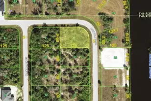 10005 Long Beach St, Port Charlotte, FL 33981 - Photo 1
