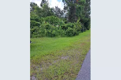 14 Buffalo Grove Drive, Palm Coast, FL 32137 - Photo 1