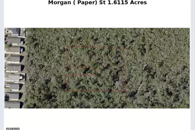 Morgan Paper Street, Lake Helen, FL 32744 - Photo 1