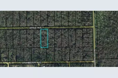 3681 Apple Avenue, Bunnell, FL 32110 - Photo 1
