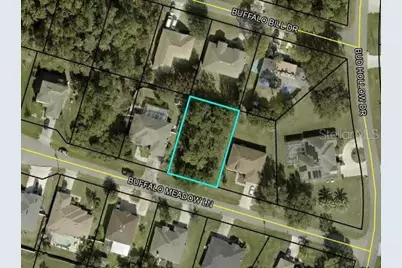 6 Buffalo Meadow Lane, Palm Coast, FL 32137 - Photo 1