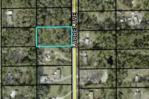 2216 Laurel Ave, Bunnell, FL 32110 - Photo 1