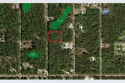 10680 Delgado Avenue, Hastings, FL 32145 - Photo 1