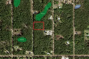 10680 Delgado Ave, Hastings, FL 32145 - Photo 1