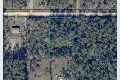 4345 Gladys Street, Hastings, FL 32145 - Photo 1