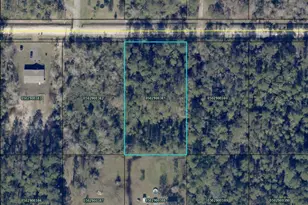 4345 Gladys St, Hastings, FL 32145 - Photo 1