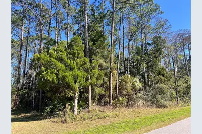 179 Ullian Trail, Palm Coast, FL 32164 - Photo 1