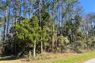 179 Ullian Trail, Palm Coast, FL 32164 - Photo 1