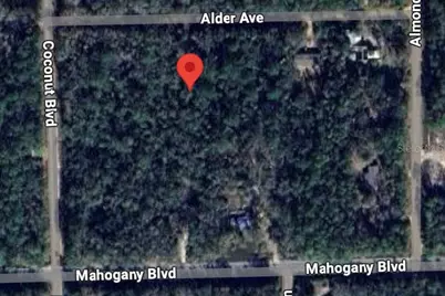 6327 Alder Avenue, Bunnell, FL 32110 - Photo 1