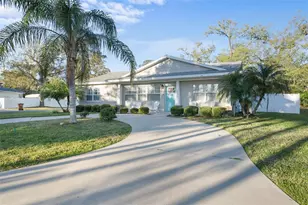 230 Palm Dr, Flagler Beach, FL 32136 - Photo 1