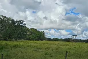 00 Cr65, Bunnell, FL 32110 - Photo 1