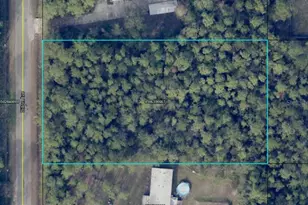 10230 Dillon Ave, Hastings, FL 32145 - Photo 1